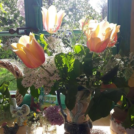 Chez Cathy Bed and Breakfast Arzier Εξωτερικό φωτογραφία
