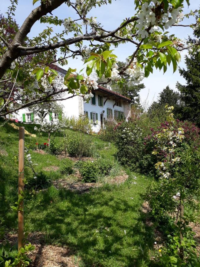 Chez Cathy Bed and Breakfast Arzier Εξωτερικό φωτογραφία