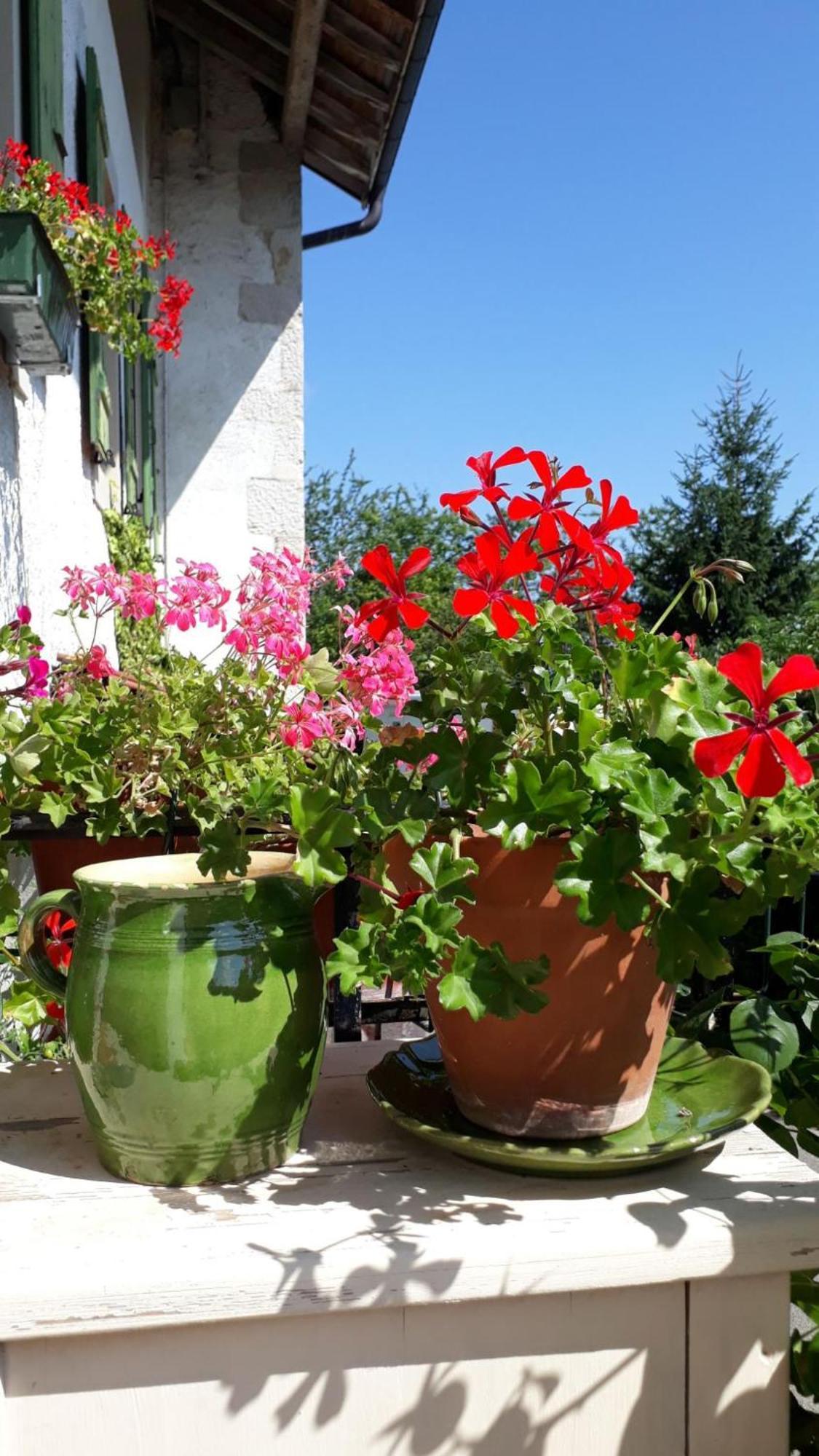 Chez Cathy Bed and Breakfast Arzier Εξωτερικό φωτογραφία